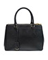 Double Zip Lux Tote, back view